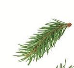 Softe Honigkugeln im Angebot bei Lidl in Potsdam Softe Honigkugeln Angebote von Deluxe bei Lidl Potsdam für 4,49 €