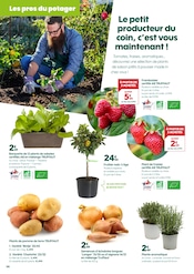 Promos Pomme De Terre dans le catalogue "NOUVEAU PRINTEMPS" de Truffaut à la page 6