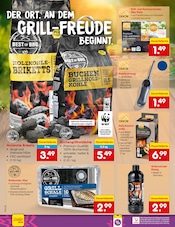Briketts im Netto Marken-Discount Prospekt in Frankfurt Aktueller Netto Marken-Discount Prospekt mit Briketts, "Aktuelle Angebote", Seite 20