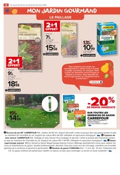 Gazon Synthétique Angebote im Prospekt "PROFITER ENFIN DE SON JARDIN : PLANTATIONS" von Carrefour Market auf Seite 6