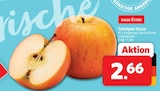 Tafeläpfel Elstar im Angebot bei nah&frisch in Wunstorf Tafeläpfel Elstar Angebote bei nah&frisch Wunstorf für 2,66 €