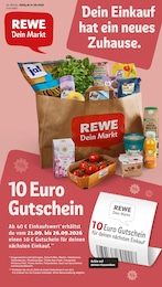 REWE Prospekt für Schenefeld mit 36 Seiten REWE Prospekt "Dein Markt" für Schenefeld, 36 Seiten, 21.09.2026 - 26.09.2026