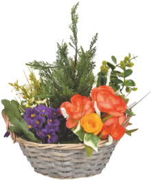 Le panier en rotin de tuyas, begonias et azalées à Centrakor dans Flaine Le panier en rotin de tuyas, begonias et azalées à Centrakor dans Flaine