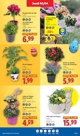 Promos Parfum dans le catalogue "Joyeuses Pâques !" de Lidl Parfum en promo dans le catalogue Lidl à la page 27