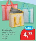 Kühltasche für 4,99 € bei budni im Angebot Kühltasche im aktuellen budni Prospekt