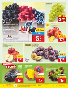 Salat im aktuellen Netto Marken-Discount Prospekt (Nürnberg) Salat im Netto Marken-Discount Prospekt "Aktuelle Angebote" mit 61 Seiten (Nürnberg)