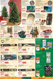 Papier im GLOBUS Prospekt in Frankenthal Aktueller GLOBUS Prospekt mit Papier, "Aktuelle Angebote", Seite 24