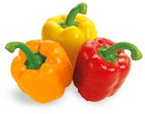 Paprika Mix im Angebot bei REWE in Stuttgart Paprika Mix Angebote von REWE Beste Wahl bei REWE Stuttgart für 2,22 €