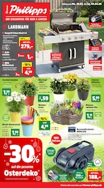 Stauden im Thomas Philipps Prospekt in Bad Oeynhausen Aktueller Thomas Philipps Prospekt mit Stauden, "Top Angebote", Seite 1