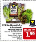 Aktuelles Herzstücke Salatrio mit Wurzelballen Angebot bei Marktkauf in Leipzig ab 1,99 €