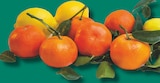 Mandarine dans le catalogue Netto