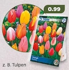 Blumenzwiebeln Tulpen Angebote bei Netto mit dem Scottie Greifswald für 0,99 €