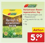 Herbstrasen-Rasenregeneration für 5,99 € bei Netto Marken-Discount im Angebot Herbstrasen-Rasenregeneration im aktuellen Netto Marken-Discount Prospekt