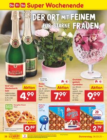 Zimmerpflanzen im Netto Marken-Discount Prospekt "Aktuelle Angebote" mit 62 Seiten (Leipzig)