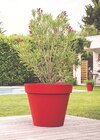 Pot toscane à Espace Emeraude dans Bégard Pot toscane à Espace Emeraude dans Bégard