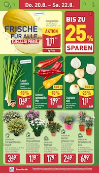 ALDI Nord Prospekt der aktuellen Woche, gĂĽltig von 17.08.2026 bis 22.08.2026 Aktueller ALDI Nord Prospekt "Aktuelle Angebote" mit 45 Seiten