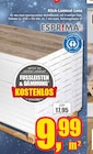 Klick-Laminat Lona Angebote von ESPRIMA bei Wilhelm Pelster GmbH & Co. KG Coesfeld für 9,99 €