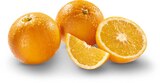 Orangen im Netto Marken-Discount Prospekt Orangen im aktuellen Netto Marken-Discount Prospekt für 2,49 €