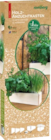 Holz-Anzuchtkasten im Angebot bei Hornbach in Solingen Holz-Anzuchtkasten Angebote von Romberg bei Hornbach Solingen für 9,95 €