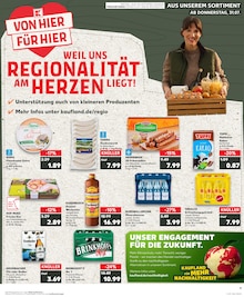 Eier im Kaufland Prospekt "Aktuelle Angebote" mit 36 Seiten (Hagen (Stadt der FernUniversität))