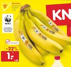 Aktuelles Bananen Angebot bei Netto Marken-Discount in Ludwigshafen (Rhein) ab 1,00 €