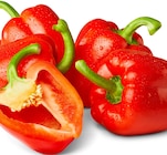 Aktuelles Rote Paprika Angebot bei Penny in Magdeburg ab 1,69 €