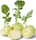 Deutscher Kohlrabi im Angebot bei Penny in Frankfurt Deutscher Kohlrabi Angebote von Marktliebe bei Penny Frankfurt für 0,49 €
