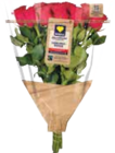 EDEKA Pansdorf - Topfrosen Dolce Amore Angebot im Prospekt Topfrosen Dolce Amore bei EDEKA im Pansdorf Prospekt für 4,99 €