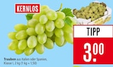 Marktkauf Weil (Rhein) Prospekt mit  im Angebot für 3,00 €