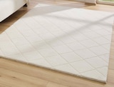 Aktuelle Teppichboden Angebote bei XXXLutz Möbelhäuser in Braunschweig Aktuelles Hochflorteppich „Grid“ Angebot bei XXXLutz Möbelhäuser in Braunschweig ab 24,99 €