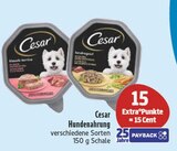 Hundenahrung Angebote von Cesar bei EDEKA Suhl