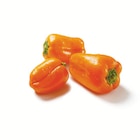 Aktuelle Tomaten Angebote bei Lidl in Hannover Aktuelles Orangene Mini Paprika Angebot bei Lidl in Hannover ab 1,49 €
