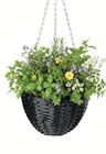 Polyrattan-Ampel im Angebot bei Wreesmann in Zwickau Polyrattan-Ampel Angebote bei Wreesmann Zwickau für 6,99 €