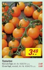 Aktuelle Tomaten Angebote bei toom Baumarkt in Köln Aktuelles Tomaten Angebot bei toom Baumarkt in Köln ab 3,49 €