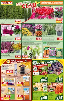 Äpfel im aktuellen Norma Prospekt (Göttingen) Äpfel im Norma Prospekt "Mehr fürs Geld" mit 28 Seiten (Göttingen)