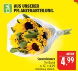 Sonnenblumen Angebote bei Marktkauf Schwabach für 4,99 €