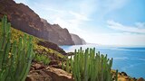 Kanarische Inselwelt & Madeira von 9 Tage ab 10.01.2025 im aktuellen AIDA Prospekt