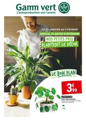 Catalogue Jardineries & Animaleries Gamm vert en cours à Grigny et alentours, "SPÉCIAL PLANTES D'INTÉRIEUR NOS PETITS PRIX PLANTENT LE DÉCOR", 4 pages, 29/01/2025 - 09/02/2025