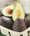 Promo Avocat affiné à 1,89 € dans le catalogue Intermarché Contact à Bolquère