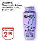 Shampoo im Angebot bei GLOBUS in Nettetal Shampoo Angebote von L'Oréal Elvital bei GLOBUS Nettetal für 2,99 €