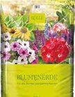 Blumenerde im Angebot bei Pflanzen Kölle in Böblingen Blumenerde Angebote bei Pflanzen Kölle Böblingen für 14,97 €