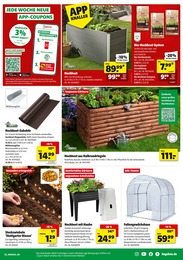 Bio Erde Angebot im aktuellen Hagebaumarkt Prospekt auf Seite 5