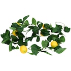 Guirlande avec des fruits - Action en promo chez Action Guirlande avec des fruits - Action dans le catalogue Action