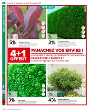 Catalogue Carrefour en cours à Colmar, "PRÉPAREZ L’AUTOMNE : JARDIN - BRICOLAGE", Page 10