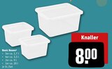 Basic Boxen für 8,00 € bei REWE im Angebot Basic Boxen im aktuellen REWE Prospekt
