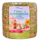 Naturhof Schröder „Heu-Glücksballen“ von  im aktuellen Pflanzen Kölle Prospekt für 4,49 €