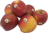 Aktuelles Deutschland Tafeläpfel 'Wellant' Angebot bei EDEKA in Münster ab 2,49 €