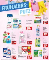 Aktueller famila Nordost Prospekt mit Persil, "besser als gut!", Seite 15