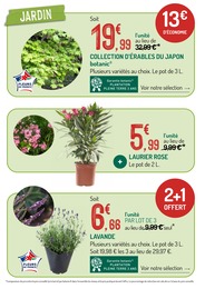 Offre Lavande dans le catalogue Botanic du moment à la page 4