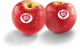 Äpfel im Angebot bei Netto Marken-Discount in Wiesbaden Äpfel Angebote von Pink Lady bei Netto Marken-Discount Wiesbaden für 2,19 €